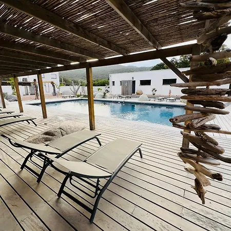 Domaine U Murtonu *